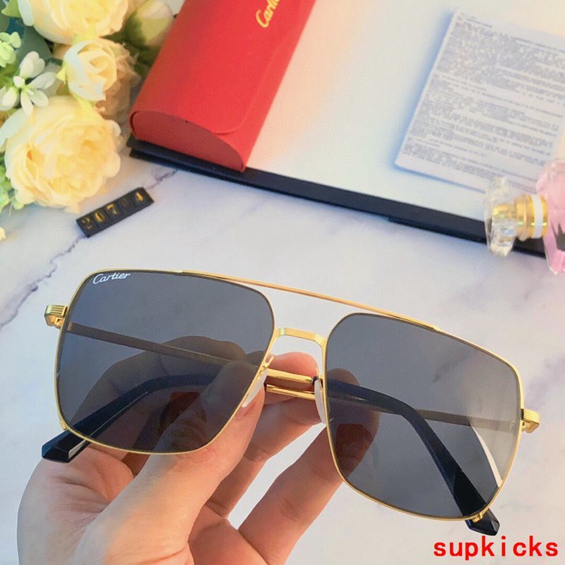 Close-up detail view of Cartier unisex sunglasses