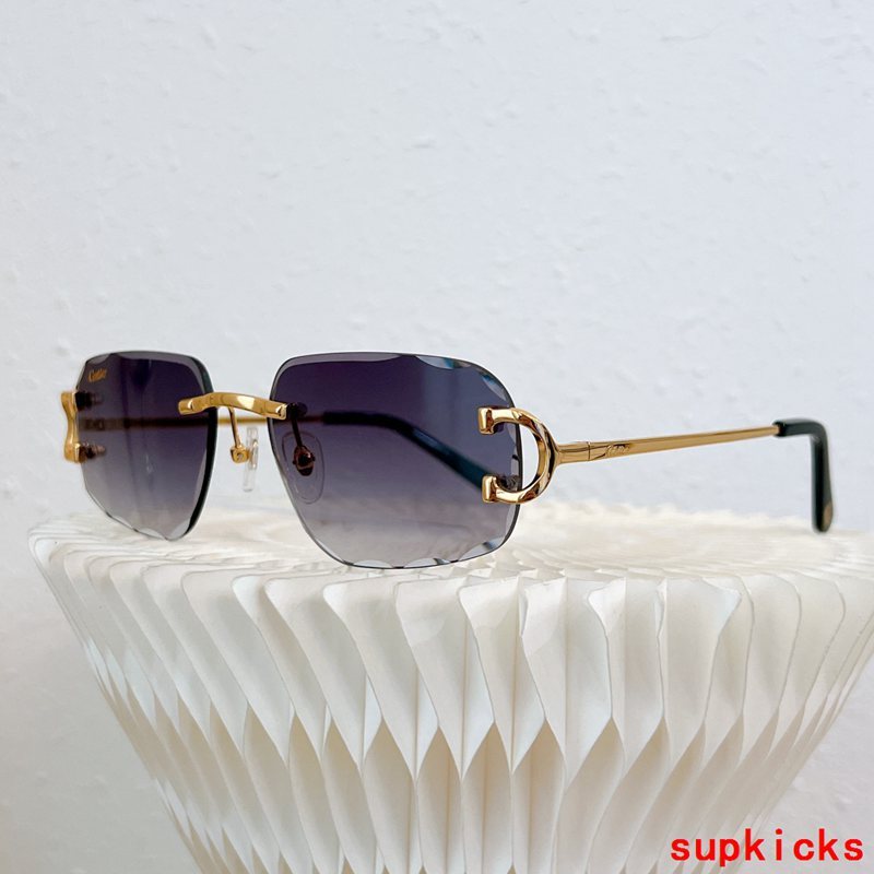 Full view of Cartier unisex sunglasses