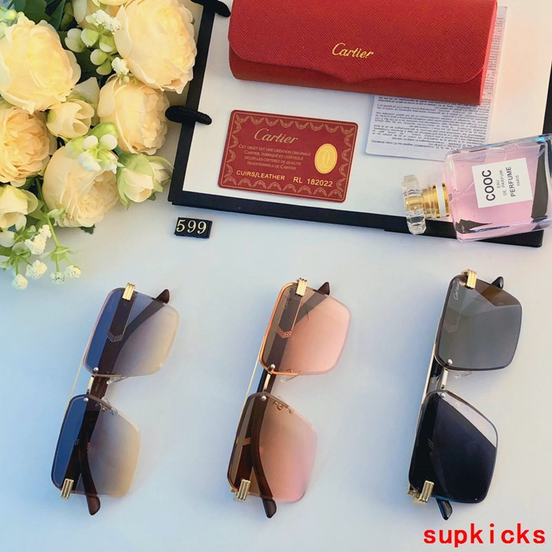 Side view of Cartier unisex sunglasses