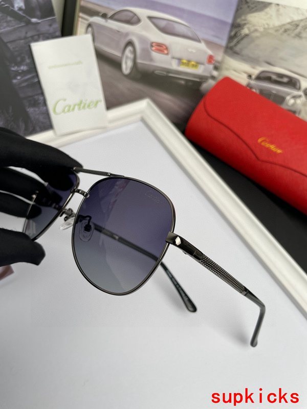 Side view of Cartier unisex sunglasses