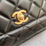 Zivas Charm Polished Finish Fashion Handbag (Signature Shape & Finish) – Interior View
