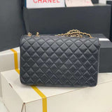 Zivas Charm Polished Finish Luxury Handbag (Premium Everyday Carry) – Close-Up Detail