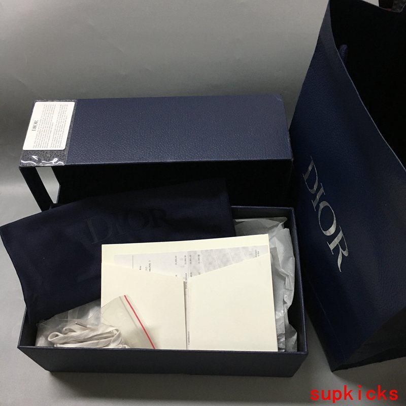 Dior shoes Style 040 - logo and branding close-up (alternate angle)