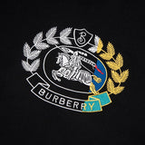 Burberry t-shirt front view designer style
