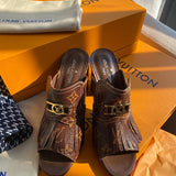 Louis Vuitton luxury shoes side view — premium authentic designer style