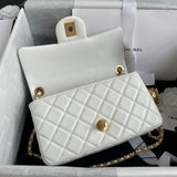 Zivas Charm Streamlined Design Fashion Handbag (Signature Shape & Finish) – Styled Look