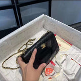 Zivas Charm Classic Sensibility Everyday Handbag (Statement-Ready Design) – Interior View