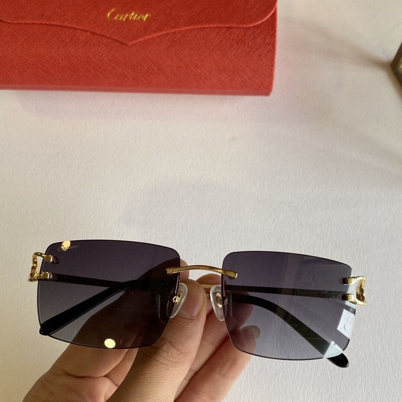 Front view of Cartier unisex sunglasses