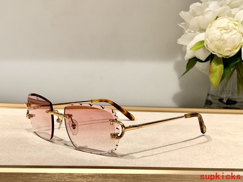 Side view of Cartier unisex sunglasses