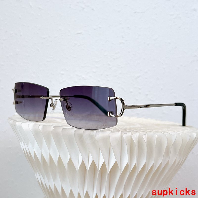 Full view of Cartier unisex sunglasses