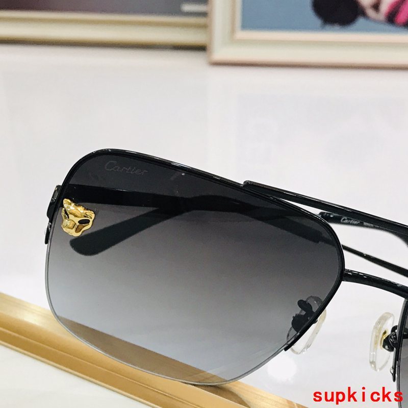 Side view of Cartier unisex sunglasses