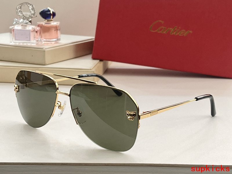 Full view of Cartier unisex sunglasses