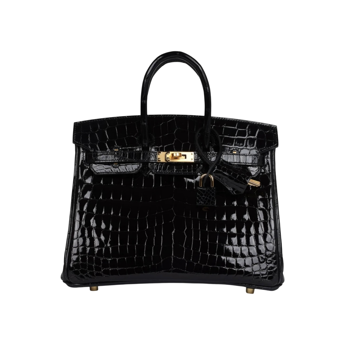 HermÃ¨s Birkin 25 Black Niloticus Crocodile Gold Hardware