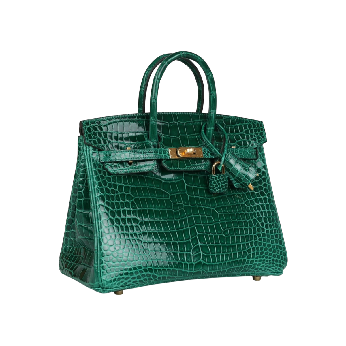 HermÃ¨s Birkin 25 Emerald Porosus Crocodile Gold Hardware