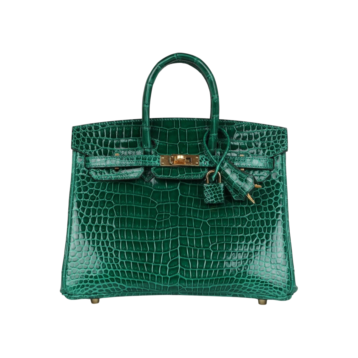 HermÃ¨s Birkin 25 Emerald Porosus Crocodile Gold Hardware