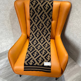 Front view of Fendi Scarve premium scarf