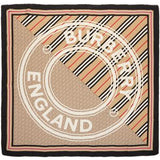 Burberry scarves & shawls luxury designer piece front view