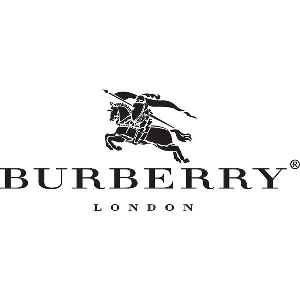 Burberry shoulder bags luxury designer piece front view