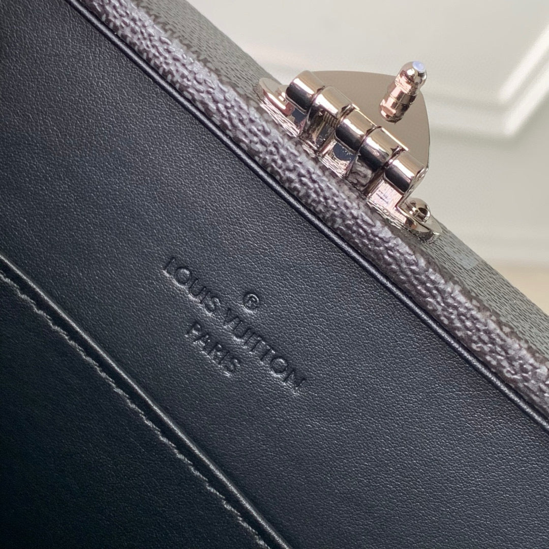 Louis Vuitton Accessories? Louis Vuitton Lou Handle Trunk Premium Everyday Designer Accessory