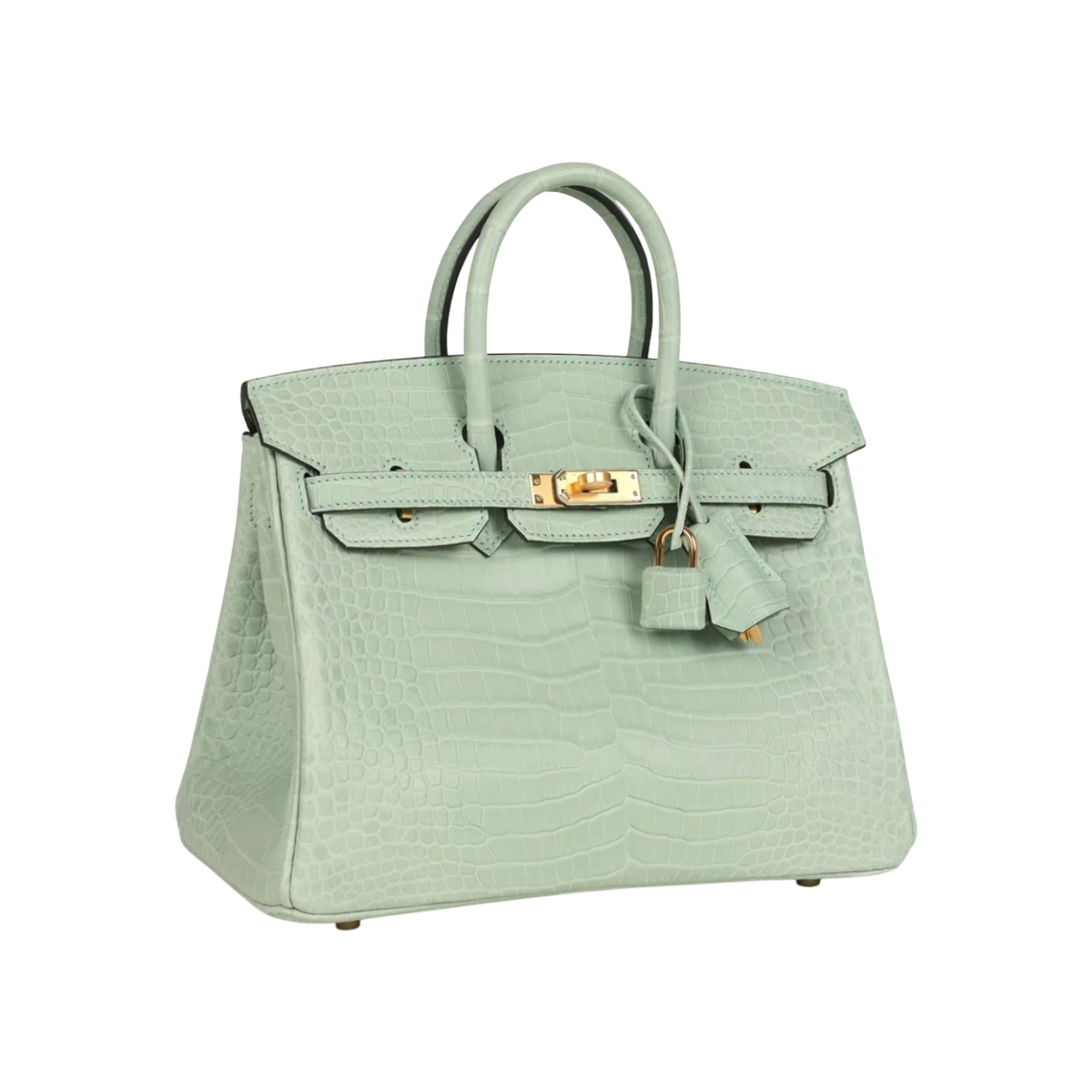 HermÃ¨s Birkin 25 Vert Matte Porosus Crocodile Gold Hardware