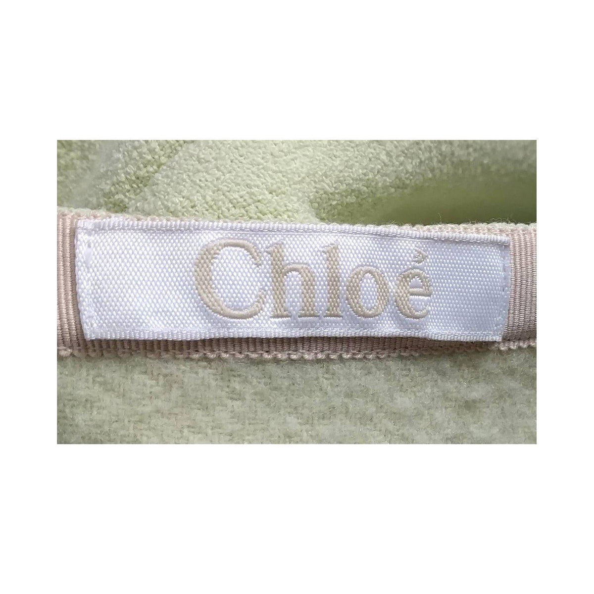 Side view of Chloe skirt Green premium designer bag