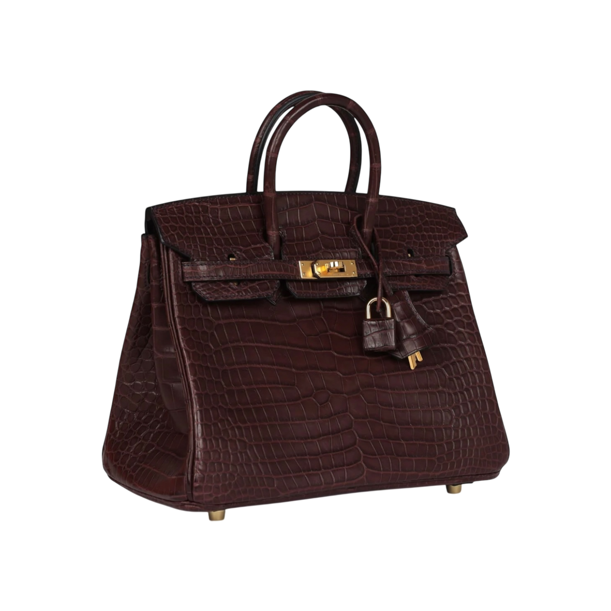 HermÃ¨s Birkin 25 Sellier Matte Porosus Crocodile Gold Hardware