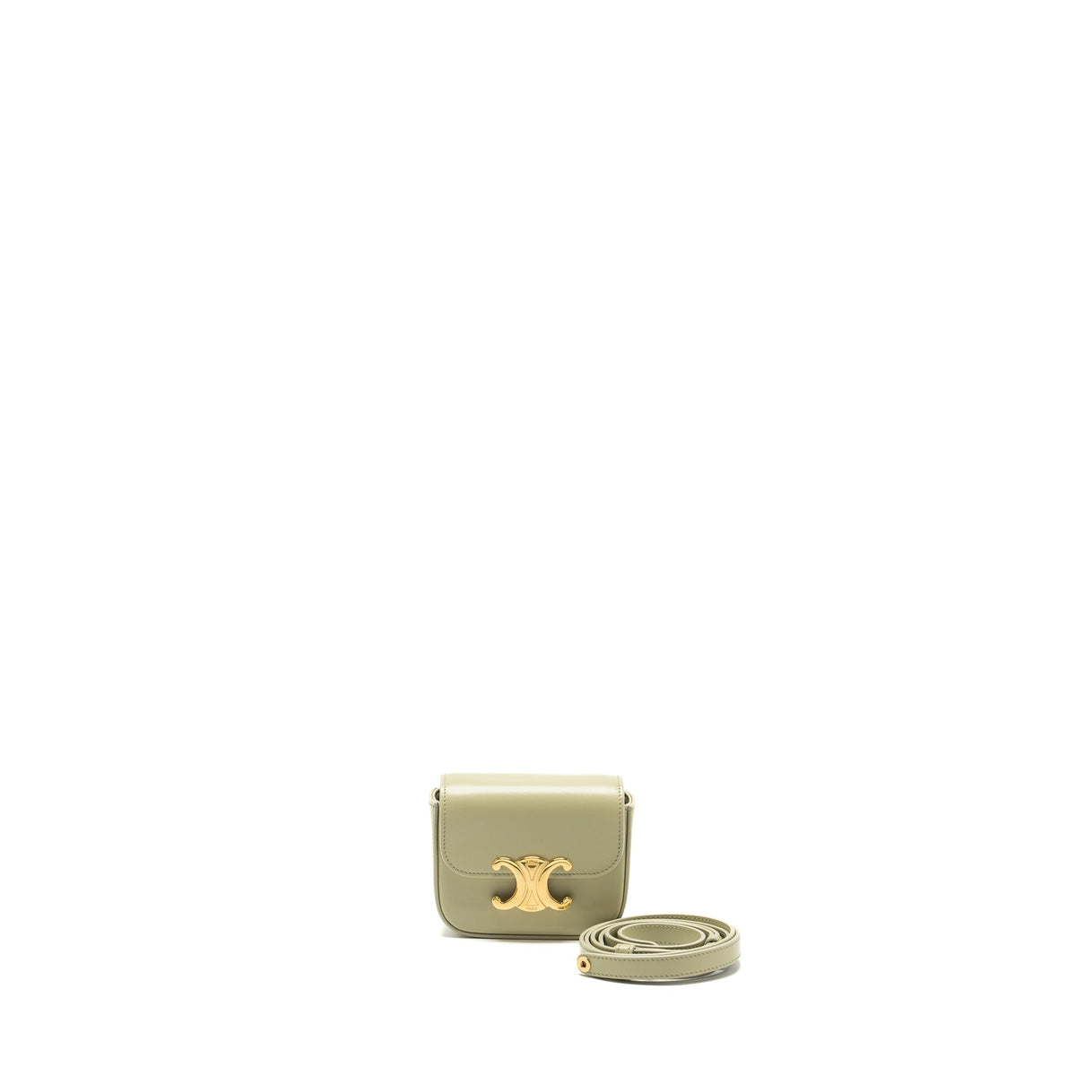 Celine Bags? Celine Mini Claude Shiny Calfskin Pistachio GHW Luxury Designer Leather Handbag