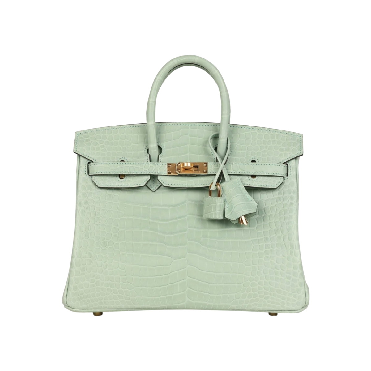 HermÃ¨s Birkin 25 Vert Matte Porosus Crocodile Gold Hardware