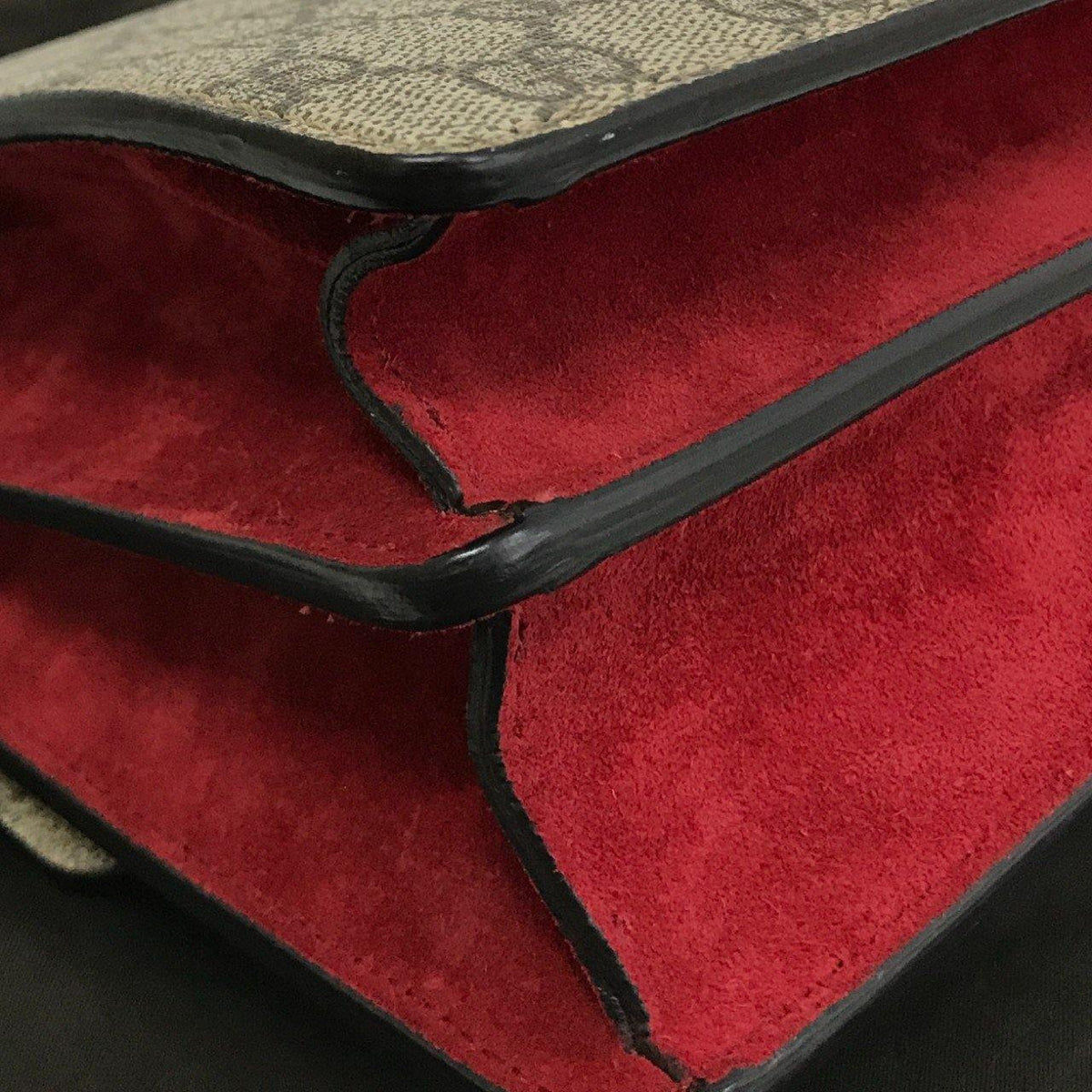Dionysus bags luxury designer piece front view