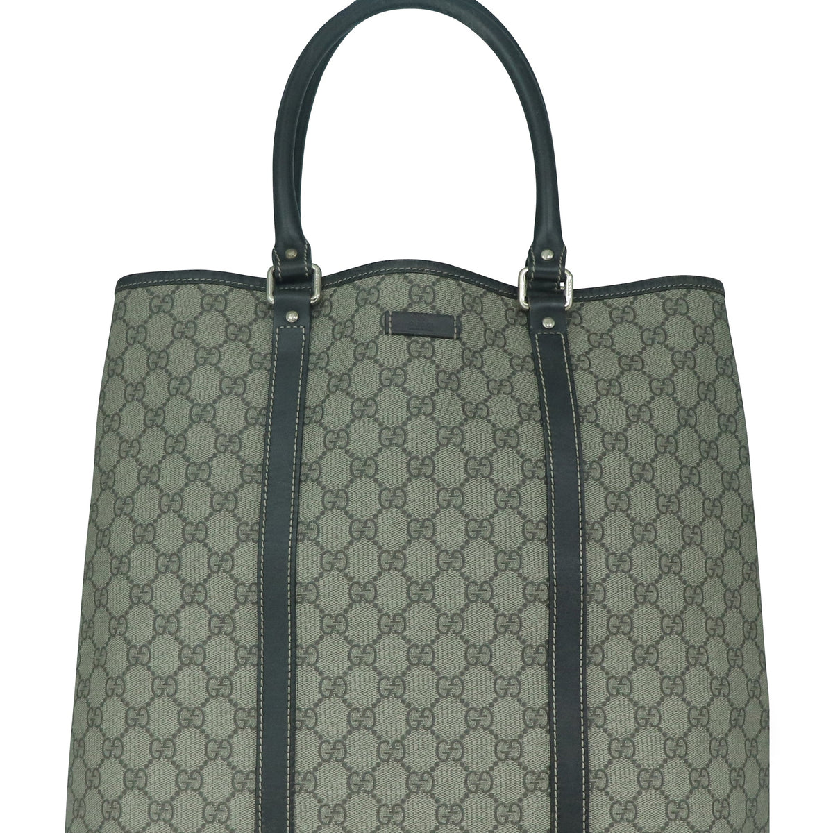 GG bags luxury designer piece front view