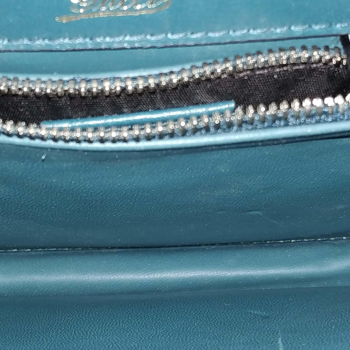 Lizard bags luxury designer piece front view