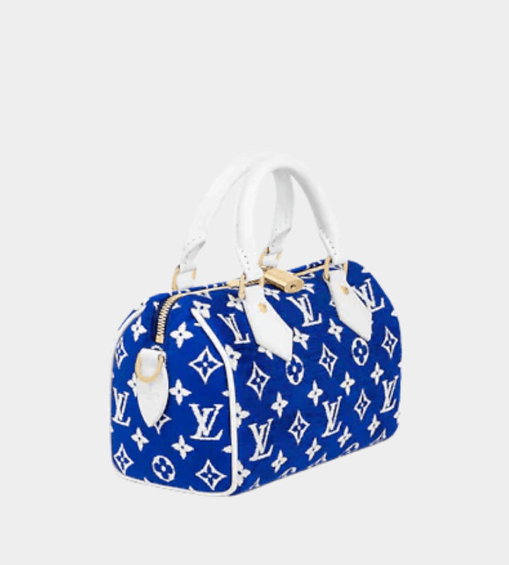 Louis Vuitton Accessories? Louis Vuitton Speedy BANDOULIÈRE 20 Premium Everyday Designer Accessory