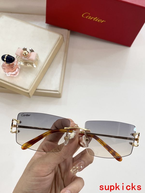 Full view of Cartier unisex sunglasses