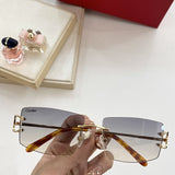 Full view of Cartier unisex sunglasses