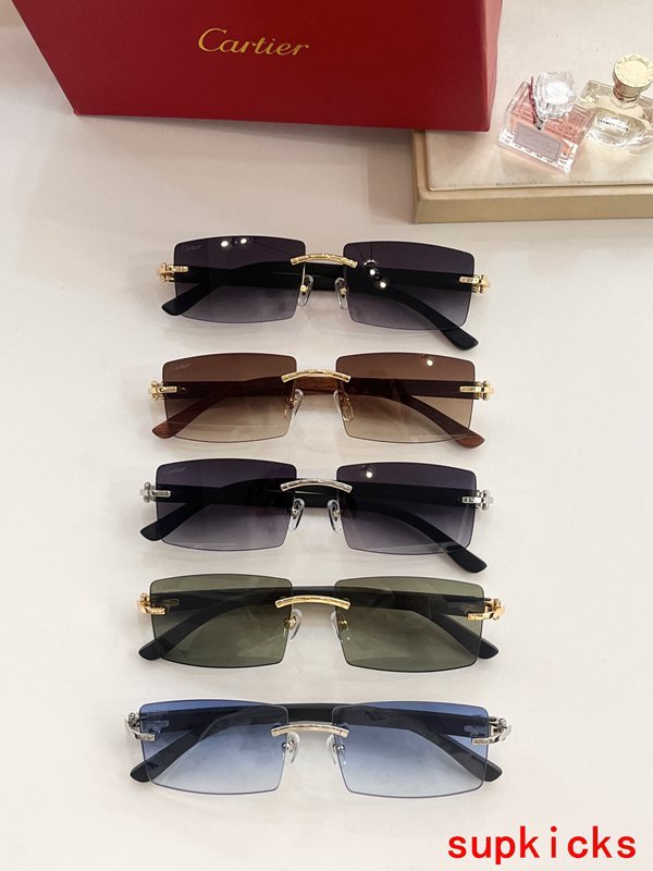 Lifestyle view of Cartier unisex sunglasses