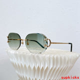 Close-up detail view of Cartier unisex sunglasses