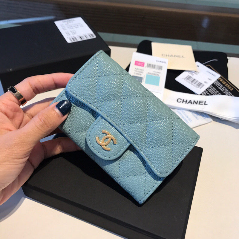 Zivas Charm Versatile Design Fashion Handbag (Premium Everyday Carry) – Back View