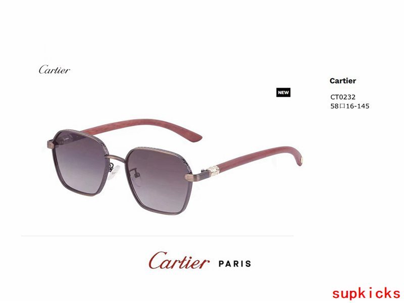 Front view of Cartier unisex sunglasses