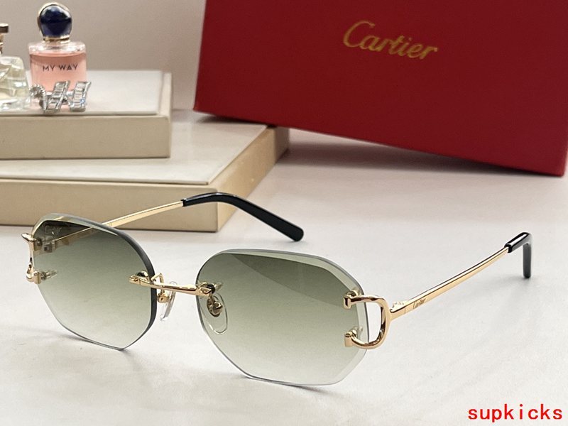 Close-up detail view of Cartier unisex sunglasses