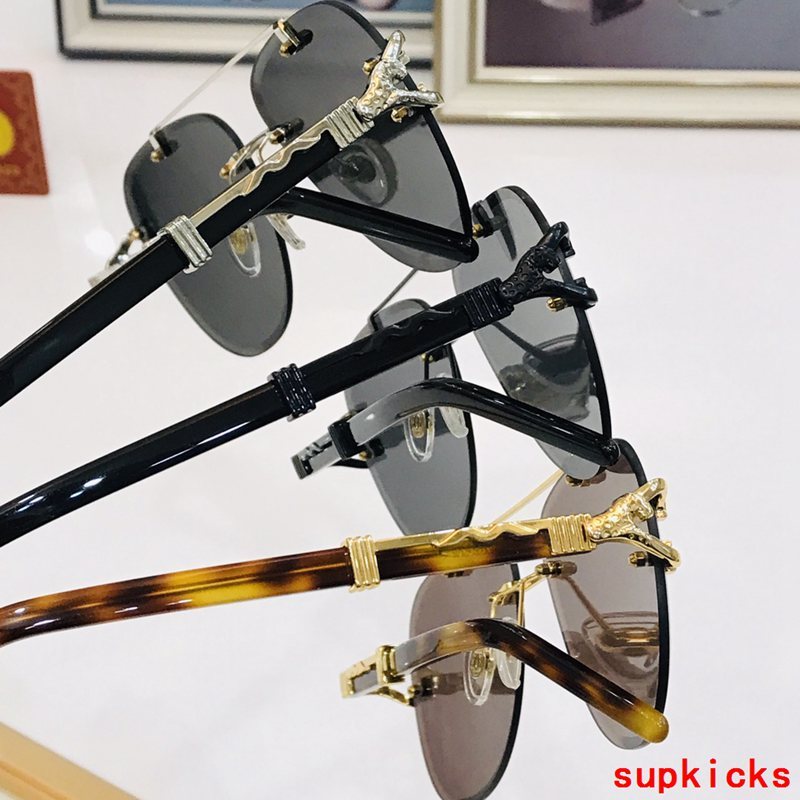 Side view of Cartier unisex sunglasses