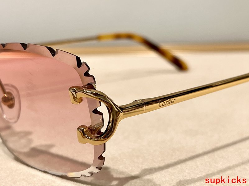 Lifestyle view of Cartier unisex sunglasses