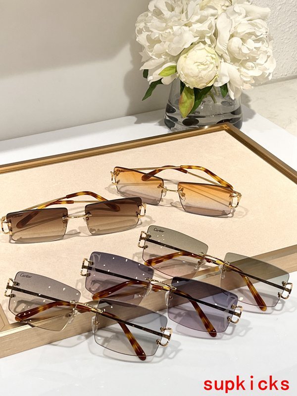 Lifestyle view of Cartier unisex sunglasses