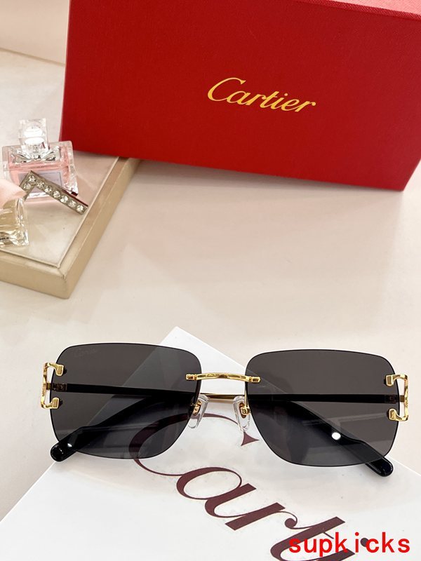 Close-up detail view of Cartier unisex sunglasses