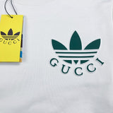 Back view of Gucci luxury clothing with signature branding