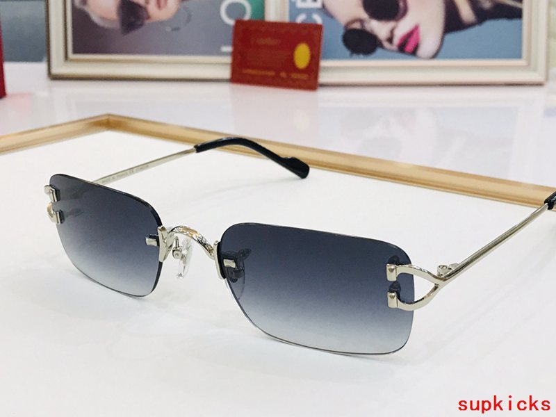 Side view of Cartier unisex sunglasses