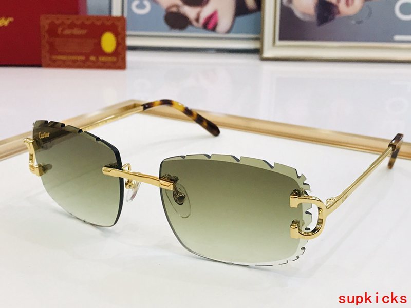 Close-up detail view of Cartier unisex sunglasses