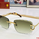 Close-up detail view of Cartier unisex sunglasses