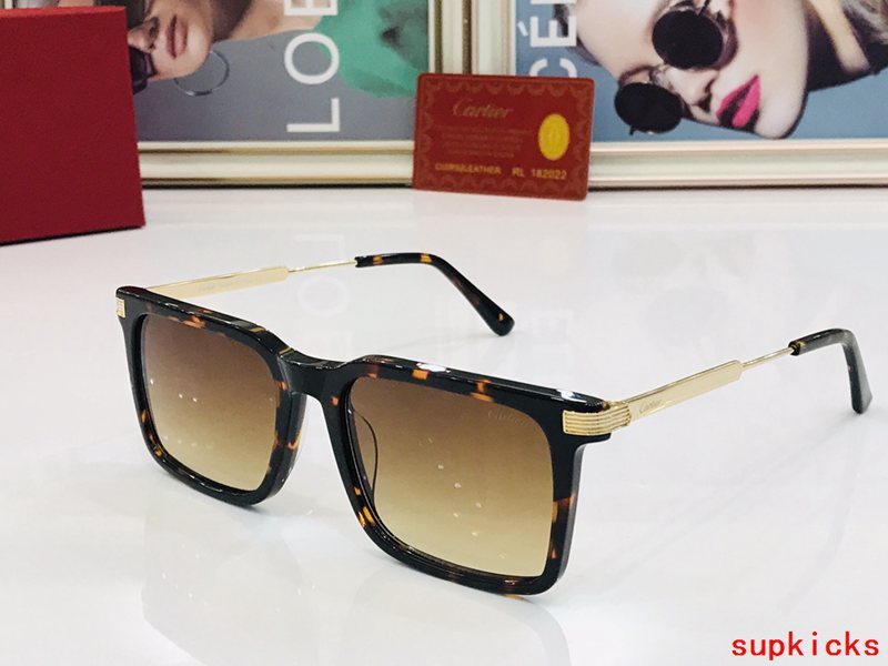 Close-up detail view of Cartier unisex sunglasses
