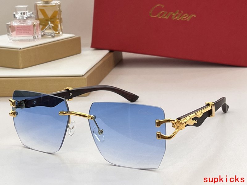 Close-up detail view of Cartier unisex sunglasses