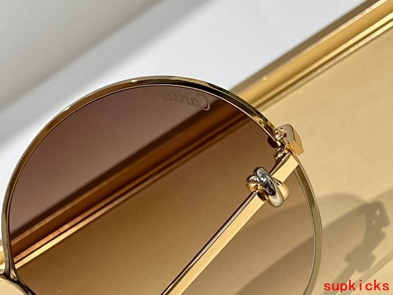 Full view of Cartier unisex sunglasses
